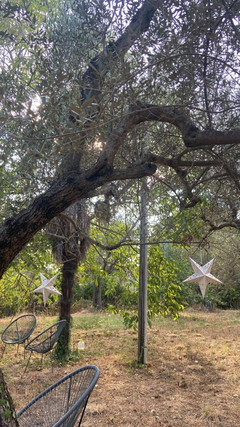 Bolsena Cento20 - Rooms & Relax المظهر الخارجي الصورة